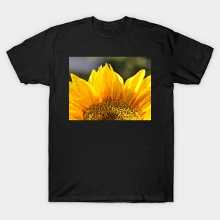 Sunflower T-Shirt